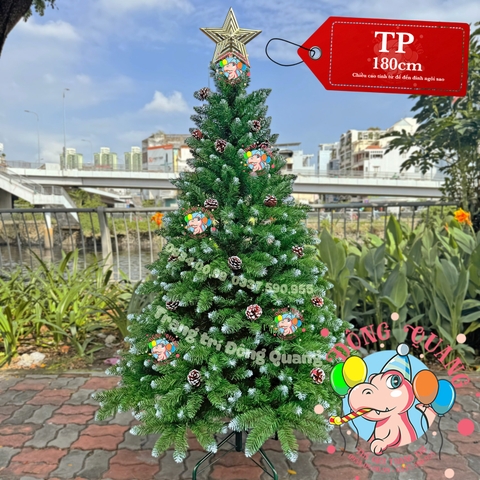 Cây thông đầu nhọn phun sơn gắn trái thông (cành treo)