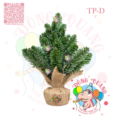 Cây thông mini đầu nhọn sơn bìa