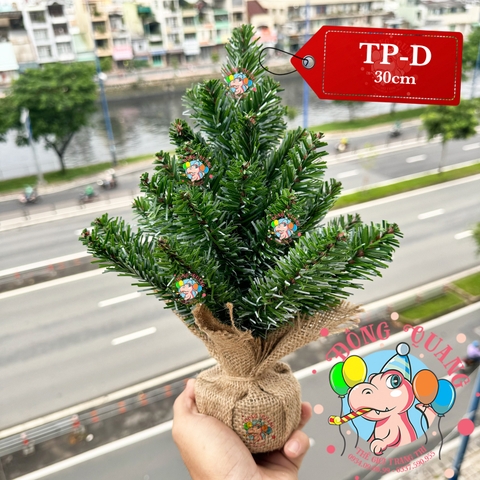 Cây thông mini đầu nhọn sơn bìa