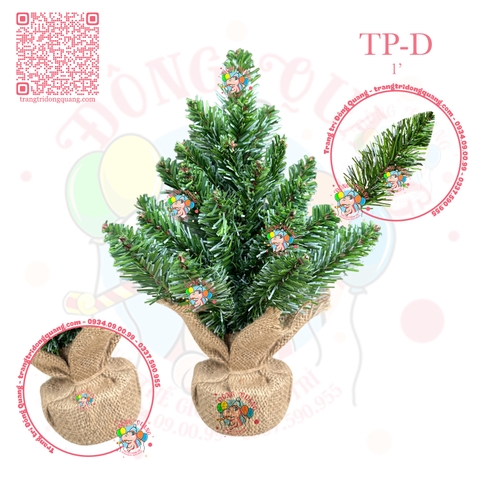 Cây thông mini đầu nhọn sơn bìa