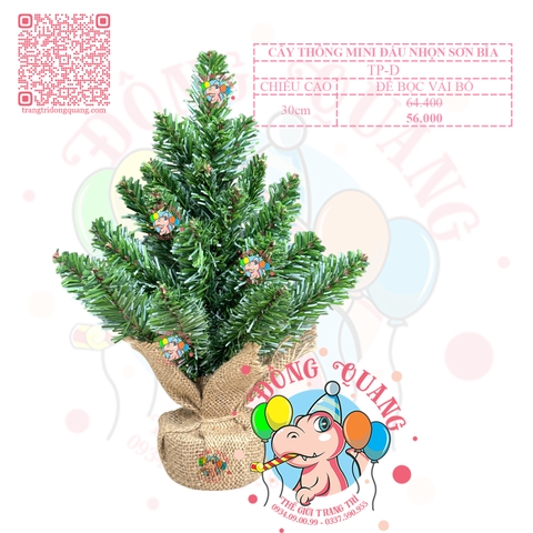 Cây thông mini đầu nhọn sơn bìa