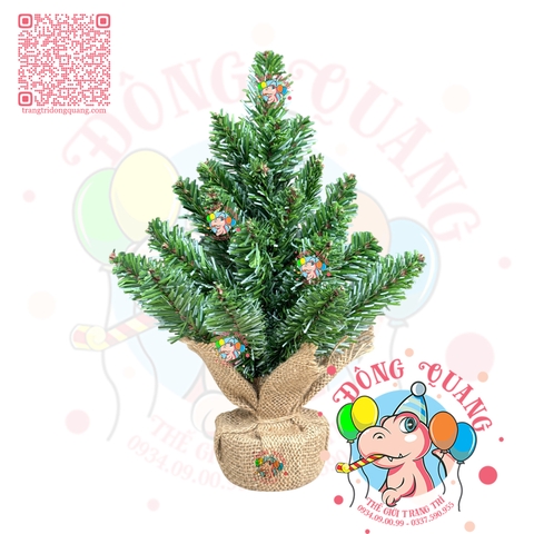 Cây thông mini đầu nhọn sơn bìa