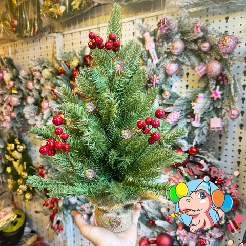 Cây thông mini PE 2 loại lá gắn cherry