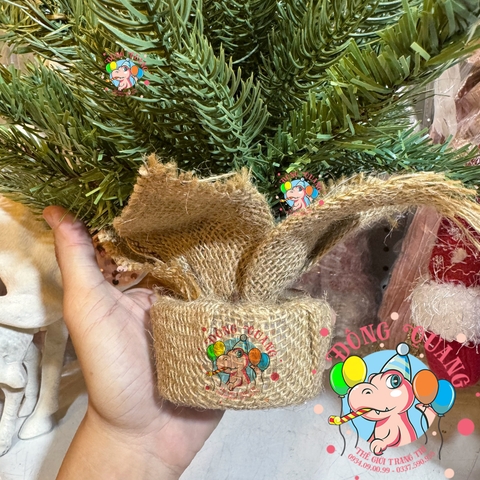 Cây thông mini PE 2 loại lá gắn cherry