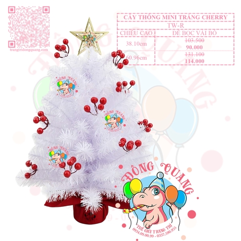 Cây thông mini trắng cherry