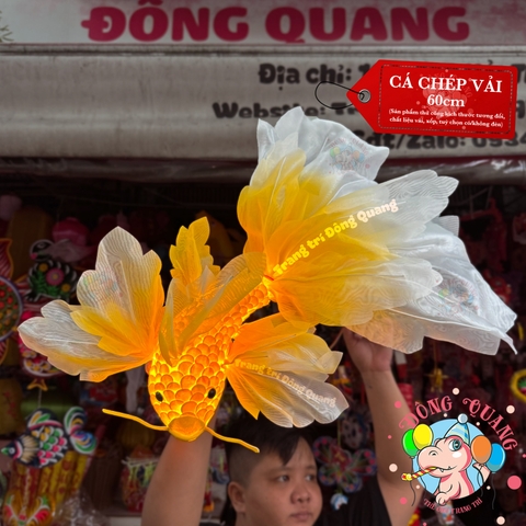 Cá chép vải voan lụa