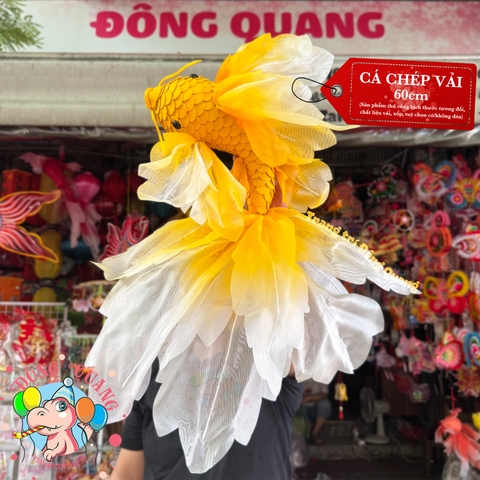 Cá chép vải voan lụa