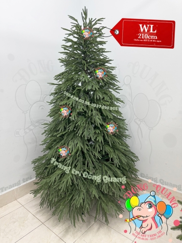 Cây thông PE, PVC lá rủ (cành tự động xoè)