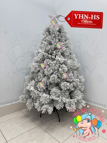 Cây thông cước đầu vàng phủ tuyết (cành tự động xoè)