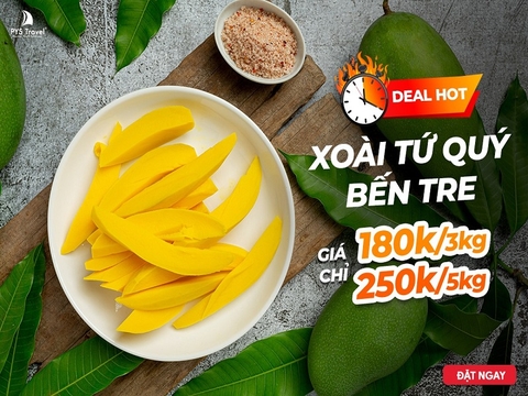 DEAL HOT:  XOÀI TỨ QUÝ BẾN TRE COMBO GIÁ SỐC CHỈ 180K/3KG, 250K/5KG