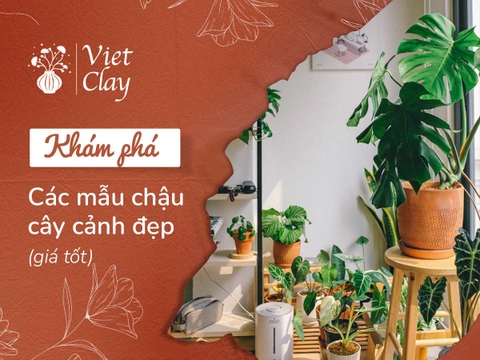 Giá Chậu Cây Cảnh Cỡ Lớn (Mẫu Đẹp 2023)