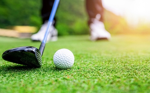 Cách lựa chọn cỏ sân golf phù hợp với từng loại sân