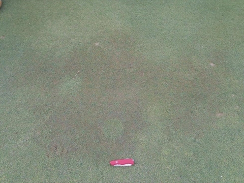 Bệnh do vi khuẩn