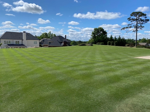 Hướng dẫn chăm sóc bãi cỏ cho người mới bắt đầu