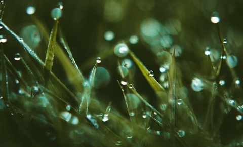 Chất hoạt động bề mặt sử dụng như thế nào và tại sao bạn nên sử dụng chúng