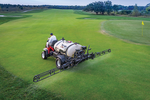 Chiến lược kiểm soát dịch bệnh và sâu bệnh phổ biến ở sân golf mùa đông