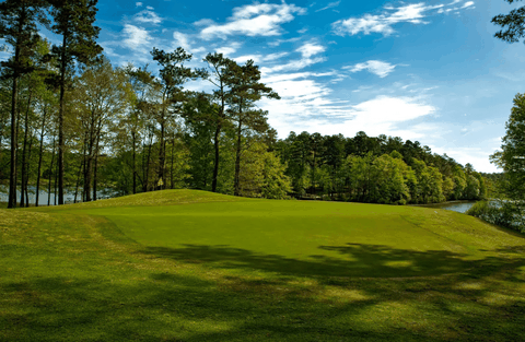 Chiến lược thực hiện chăm sóc cây hiệu quả trong quản lý sân golf