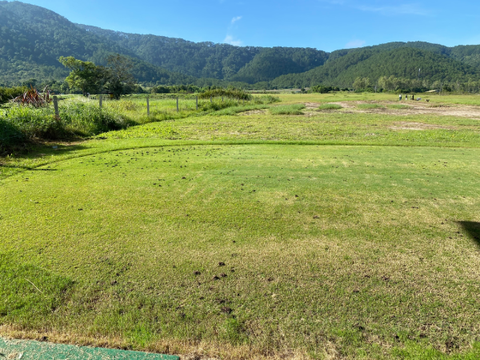 Phương Pháp Kiểm Soát Cỏ Dại Trên Sân Golf Hiệu Quả Nhất