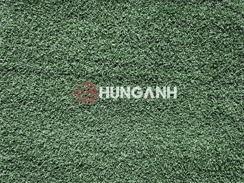 Cỏ sân golf là gì? Những loại cỏ sân golf phổ biến hiện nay?