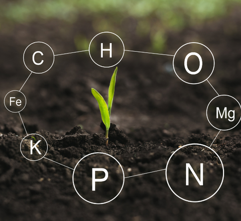 Tại sao phân bón lại quan trọng trên sân golf?