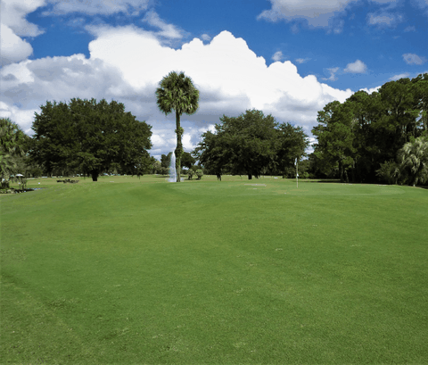 Hướng dẫn cắt cỏ đúng cách