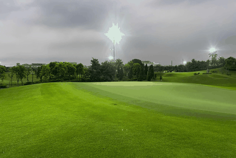 Hướng Dẫn Sử Dụng Thuốc Diệt Nấm Đúng Cách, An Toàn Và Hiệu Quả