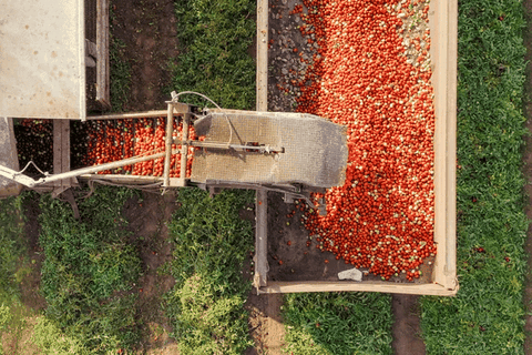 Phân tích dữ liệu hỗ trợ AI = Năng suất cao hơn trong nông nghiệp