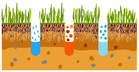 Sục khí và gieo hạt giống: Tại sao hai phương pháp này song hành với nhau để có sức khỏe bãi cỏ tối ưu