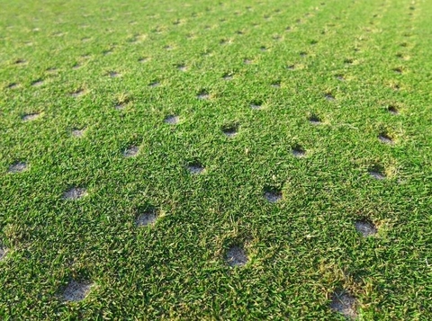 Vai trò của sục khí đối với sức khỏe của cỏ sân golf