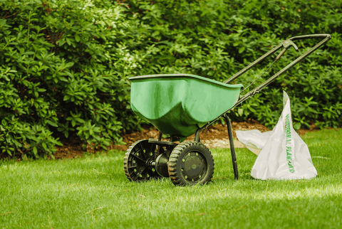 Khi nào là thời điểm tốt nhất để bón phân cho bãi cỏ?