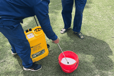 TOP 10 Loại Thuốc Bảo Vệ Thực Vật Gây Độc Thần Kinh Nguy Hiểm Nhất Hiện Nay