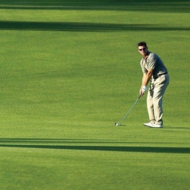 Các loại nấm sân golf phổ hiển? Thuốc trị nấm sân golf tốt nhất hiện nay?