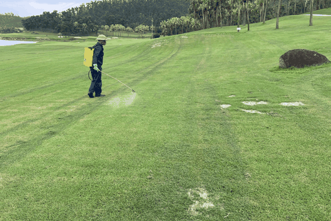TOP 6 Chất Tạo Màu Sân Golf Được Ưa Chuộng Nhất 2026