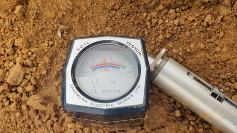 Quy trình kiểm tra dinh dưỡng đất sân golf