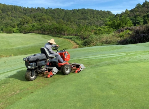Cắt cỏ sân golf? Quy trình cắt cỏ sân golf tiêu chuẩn