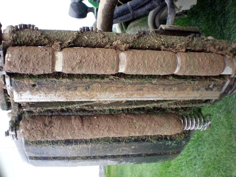 Các phôi giun đất trên máy cắt cỏ sân golf