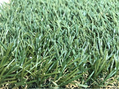 Cỏ sân vườn nhân tạo HA-AHB