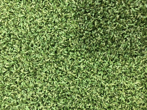 Cỏ sân golf nhân tạo HA-OL15