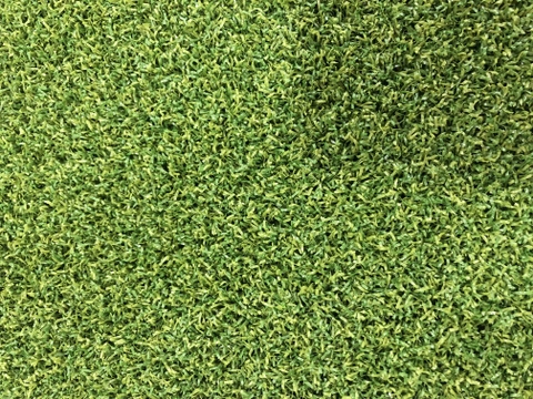 Cỏ sân golf nhân tạo HA-PP15