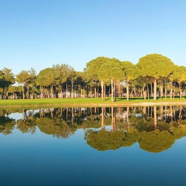 Chất kiểm soát tảo và cỏ dại dưới nước Admiral® Liquid