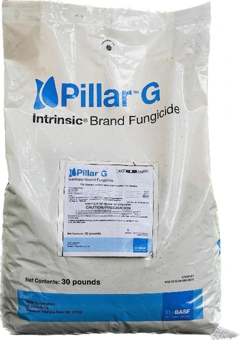 Thuốc diệt nấm Pillar® G Intrinsic®