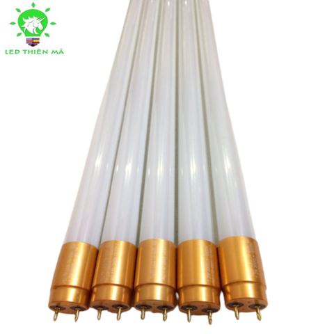 Đèn tuýp thủy tinh đầu nhôm vàng 1m2 -30W -Led Thiên Mã