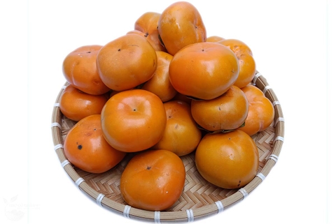 Hồng giòn Fuji Đà Lạt