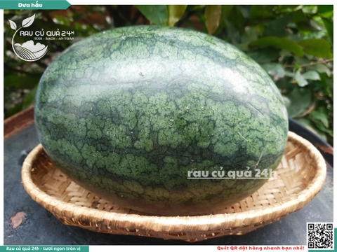 Dưa hấu