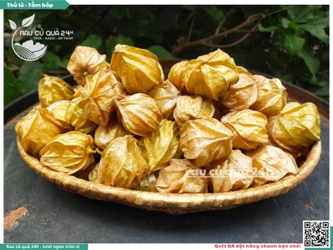 Thù lù - Tầm bóp Nam mỹ 300g