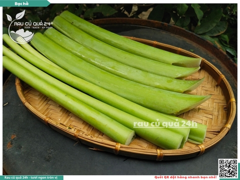 Bạc Hà - Dọc mùng 200g