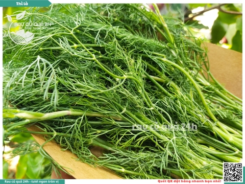 Rau nêm Rau Thì là 65g