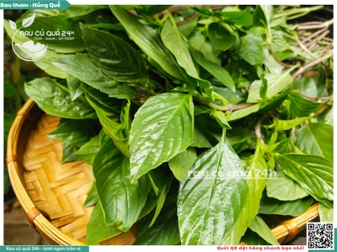 Rau thơm - Húng quế 65g