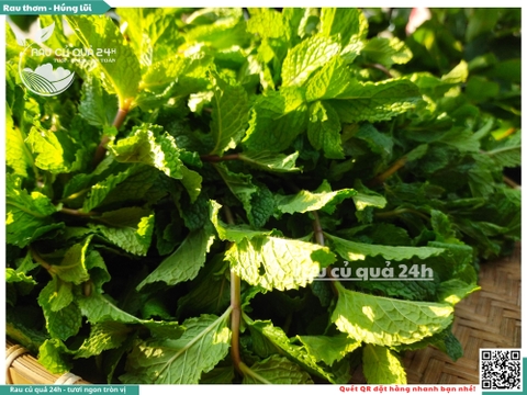 Rau thơm - Húng lũi 65g