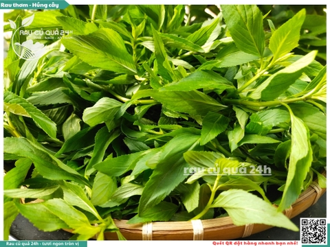 Rau thơm - Húng cây 65g